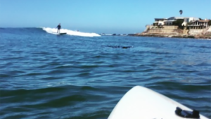 jay-race-surfboard-in-ocean-santa-cruz