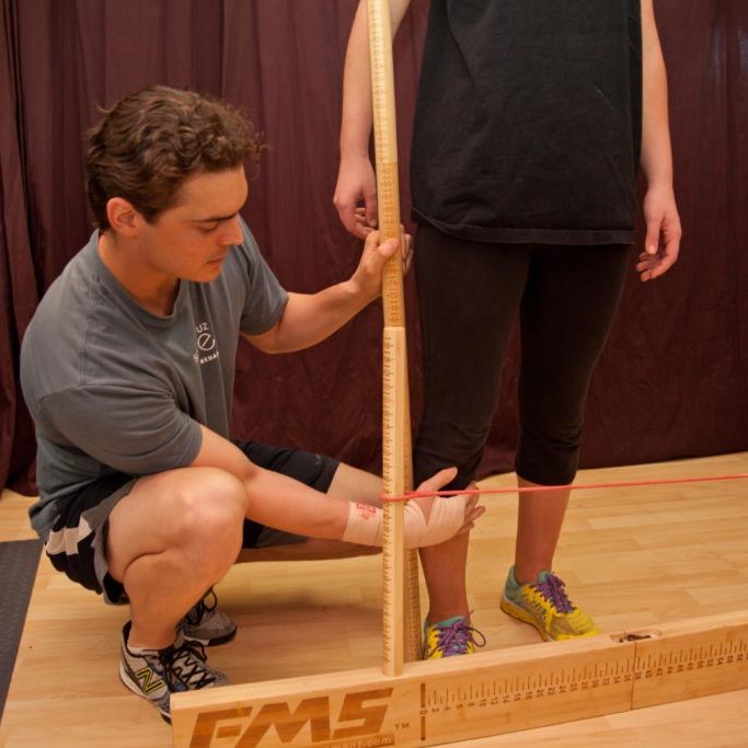 An Elite Assessment includes range of motion, muscle length testing and postural analysis.