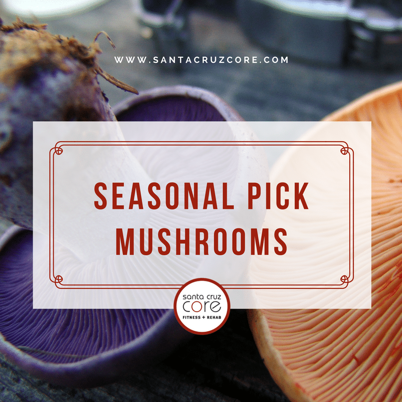 seasonal-pick-mushrooms-core