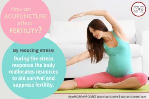 santa-cruz-core-acupuncture-fertility