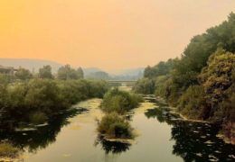 The Poor Air Quality Caused by Wildfires and 1 Treatment We Can Provide
