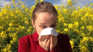 allergy tips blog