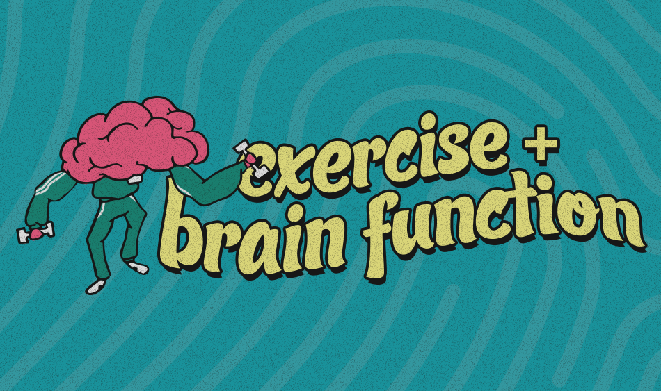 Exercise brain function