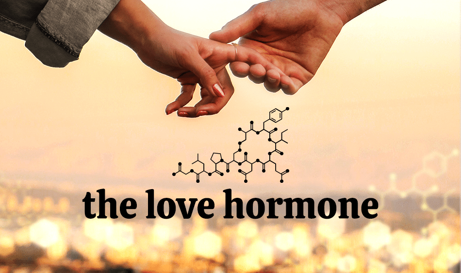 love hormone