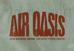 Air Oasis: How Wildfire Smoke Can Affect Your Health