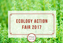 Ecology Action Fair 2017