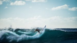 santa-cruz-surfing