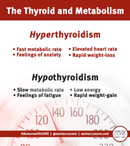 Thyroid-Metabolism-Hyperthyroidism-Hypothyroidism