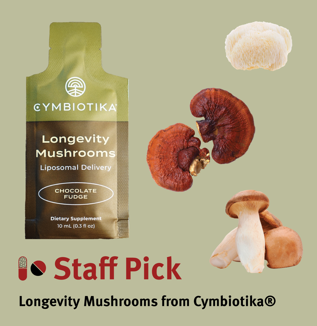 website-cards-mushroom