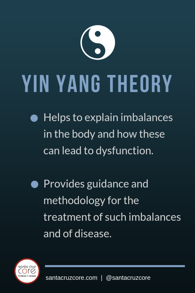 yin yang theory meme santa cruz core